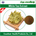 Extracto natural de chá branco